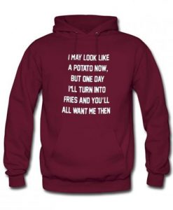 I May Look Like A Potato Now Quote Hoodie KM