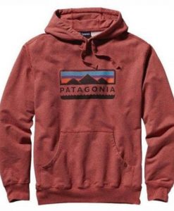 Patagonia Hoodie